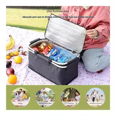 GENERICO - Canasta Picnic Cooler Bolso Térmica Plegable Portátil