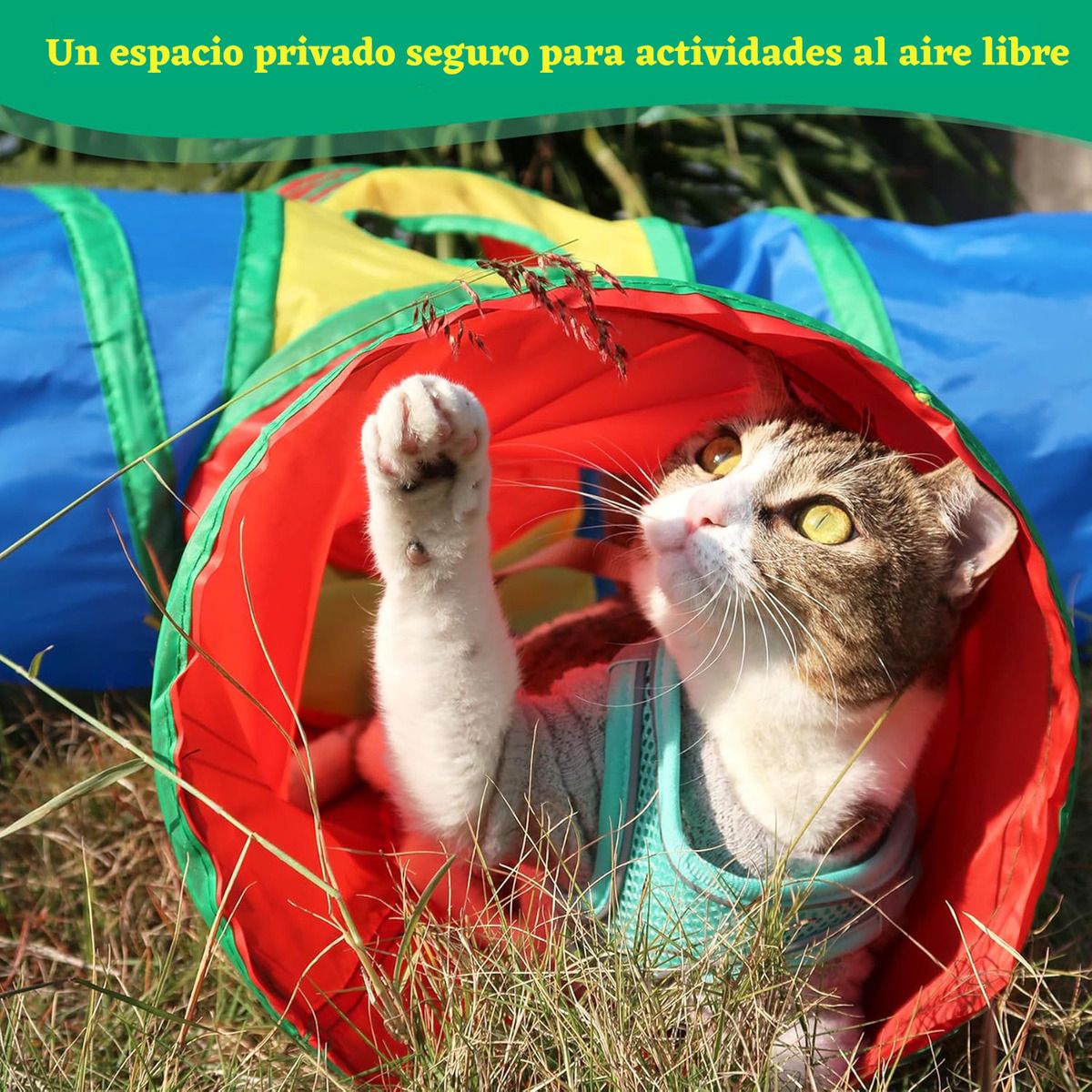 GENERICO - Juguete Túnel Para Gatos Y Mascotas Con Pelota Colgante