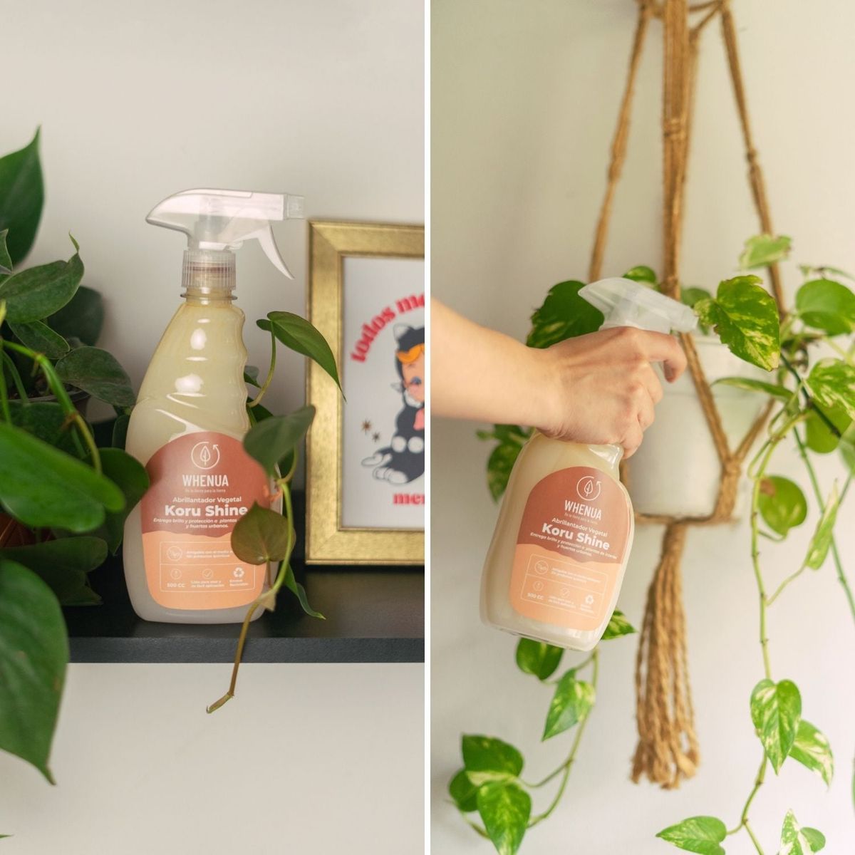 WHENUA - Abrillantador Plantas Koru Shine - 500cc