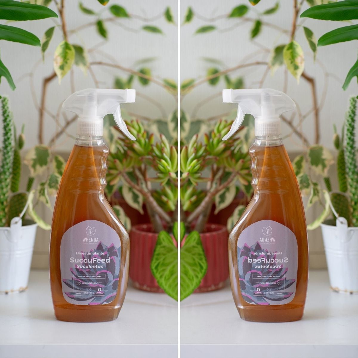 WHENUA - Fertilizante SuccuFeed - 500cc