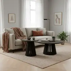 MEDULAR - Mesa de centro Palisade black