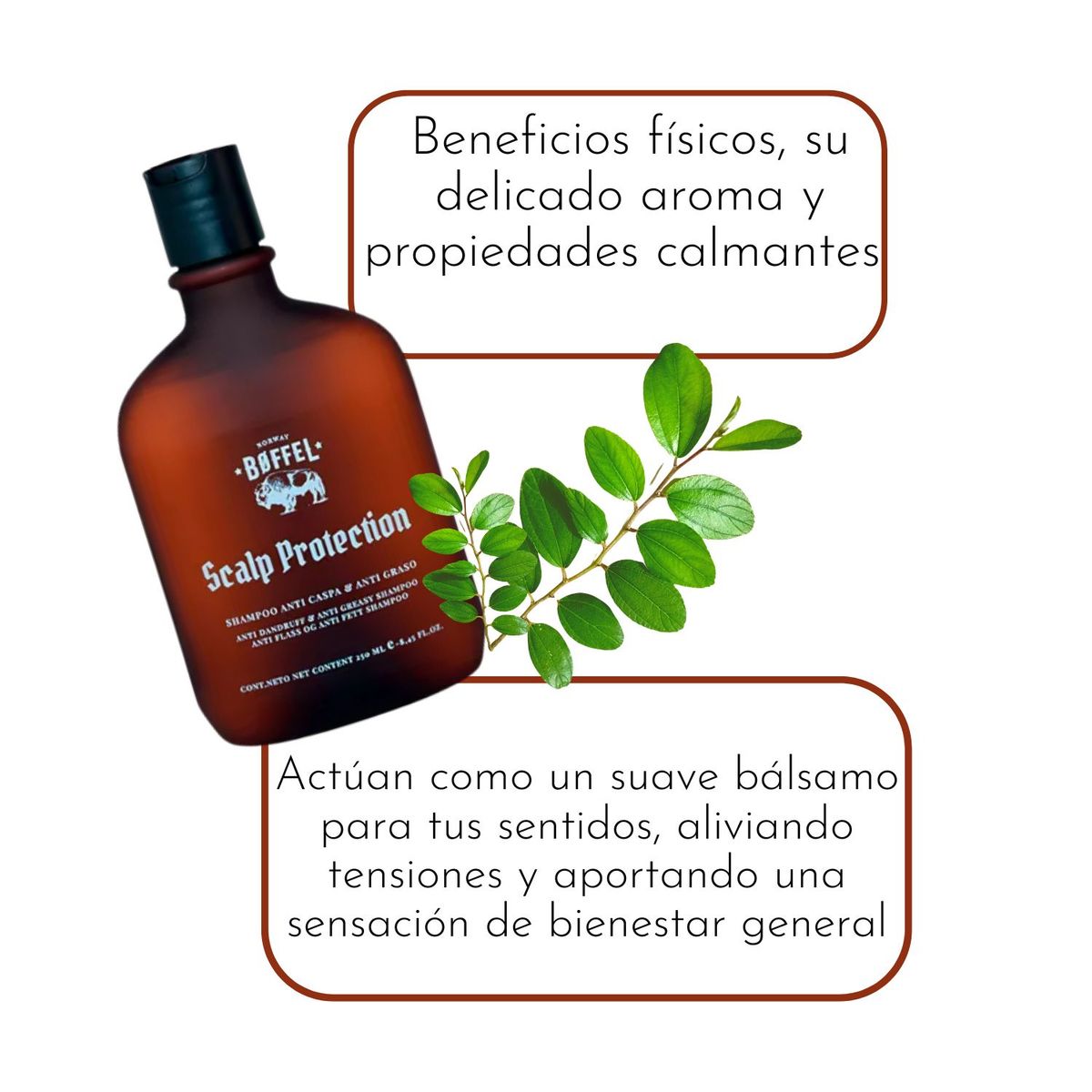 BOFFEL - Shampoo Boffel Scalp Protection 250ml Antigraso Anticaida