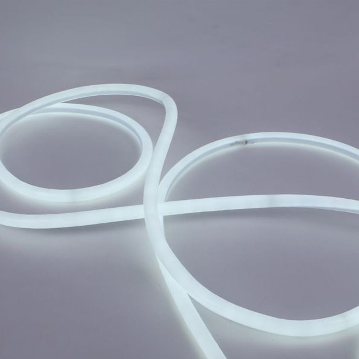 WANT - CINTA LED NEON 12V 5M BLANCO FRIO CON FUENTE DE PODER CERTIFICADA