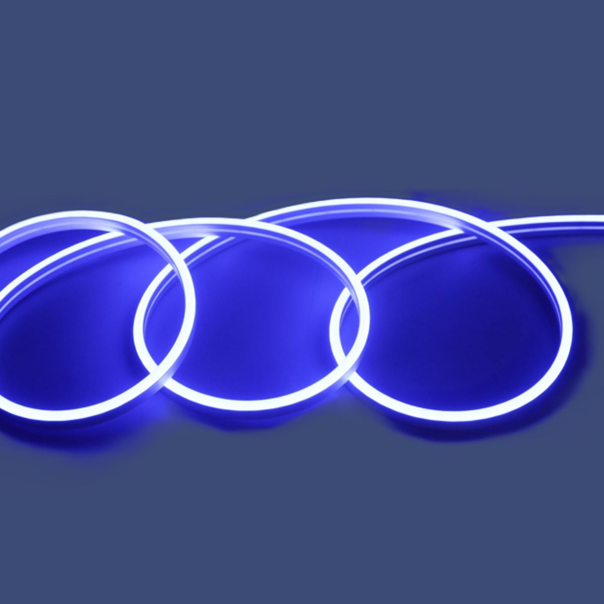 WANT - CINTA LED NEON 12V 5M AZUL CON FUENTE DE PODER CERTIFICADA