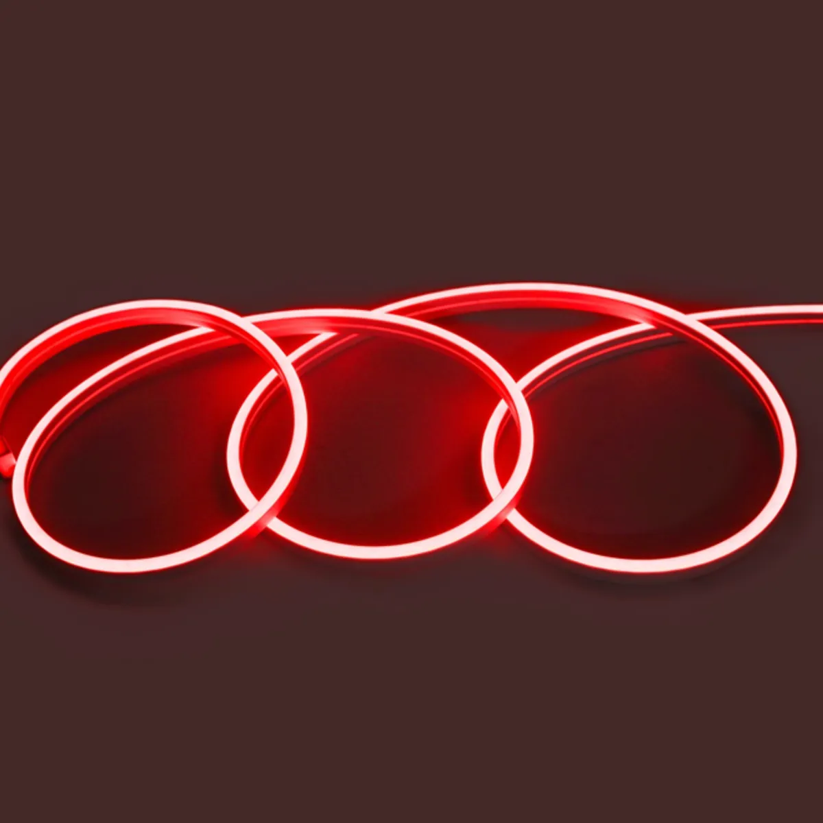 WANT - CINTA LED NEON 12V 5M ROJA CON FUENTE DE PODER CERTIFICADA