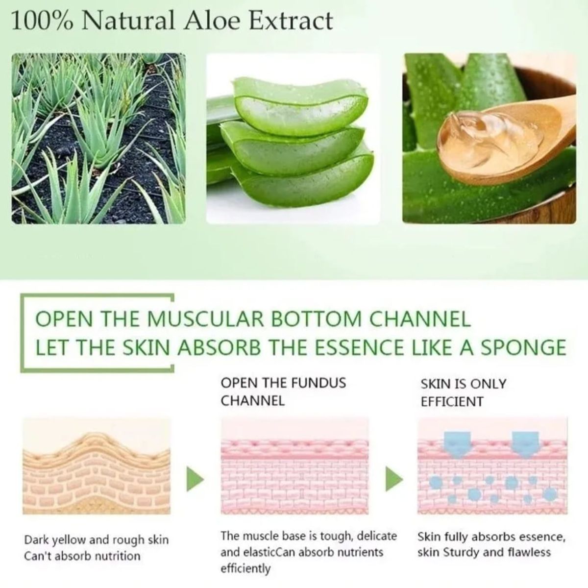 GENERICO - Sérum Facial de Aloe Vera  Hidratante Antiacne