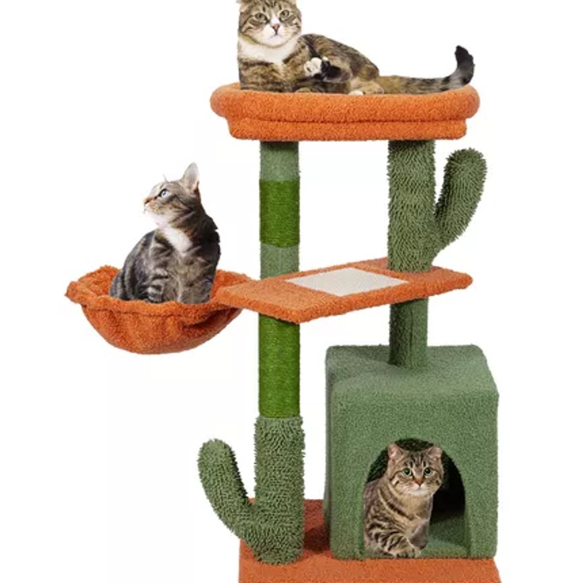 GENERICO - Torre arbol rascador gatos poste michi cactus verde