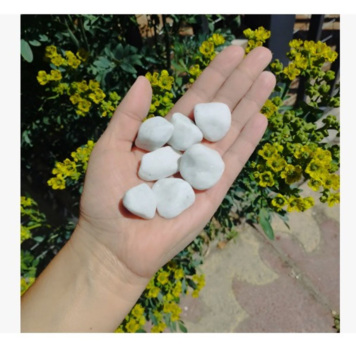 GENERICO - Piedra importada Zen Blanca deco 1 Kg