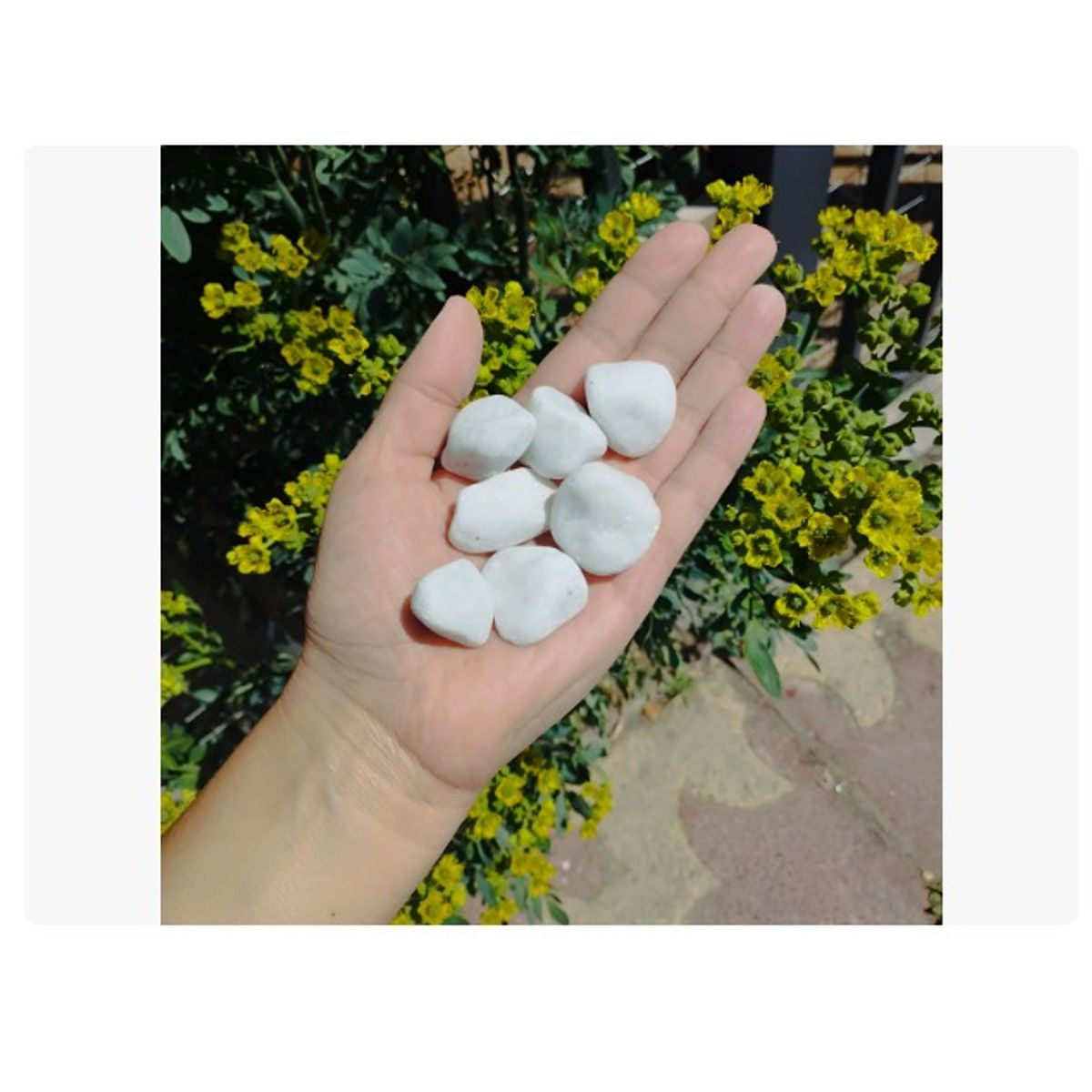 GENERICO - Piedra importada Zen Blanca deco 1 Kg