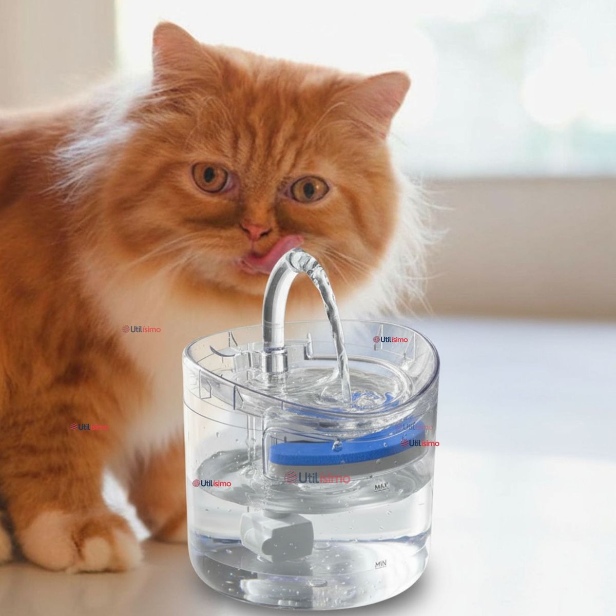 LINE - Fuente Dispensador Bebedero De Agua Para Mascotas 1.8 Litros