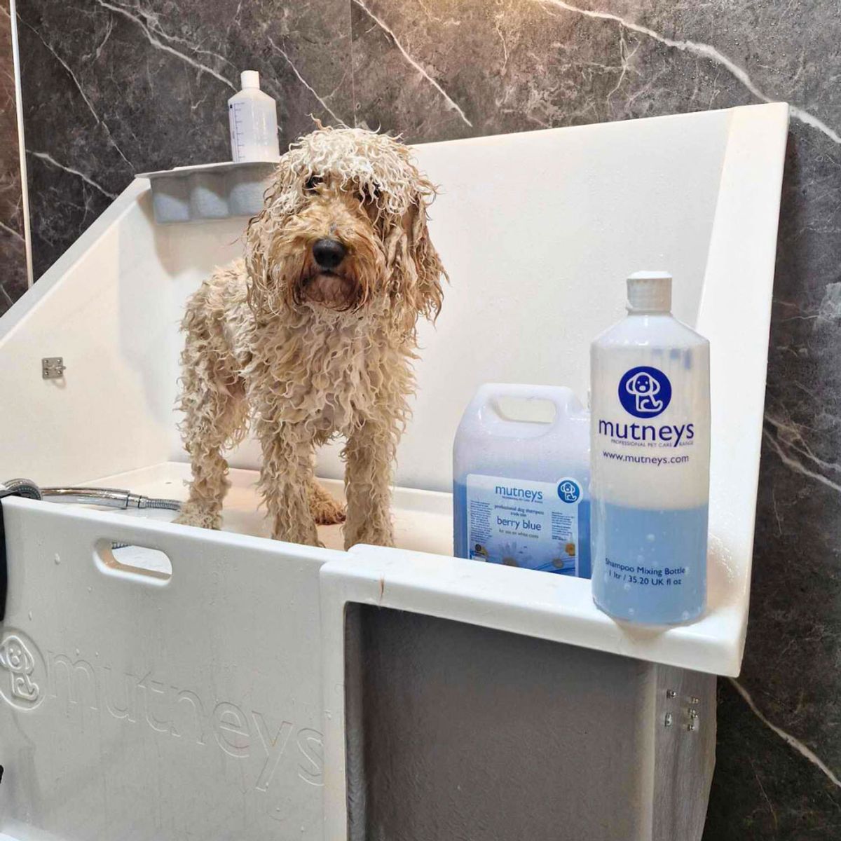 GENERICO - Shampoo para Mascotas Mutneys Berry Blue 5L