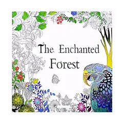 GENERICO - Mándalas Para Colorear 96 Dibujos Antiestrés