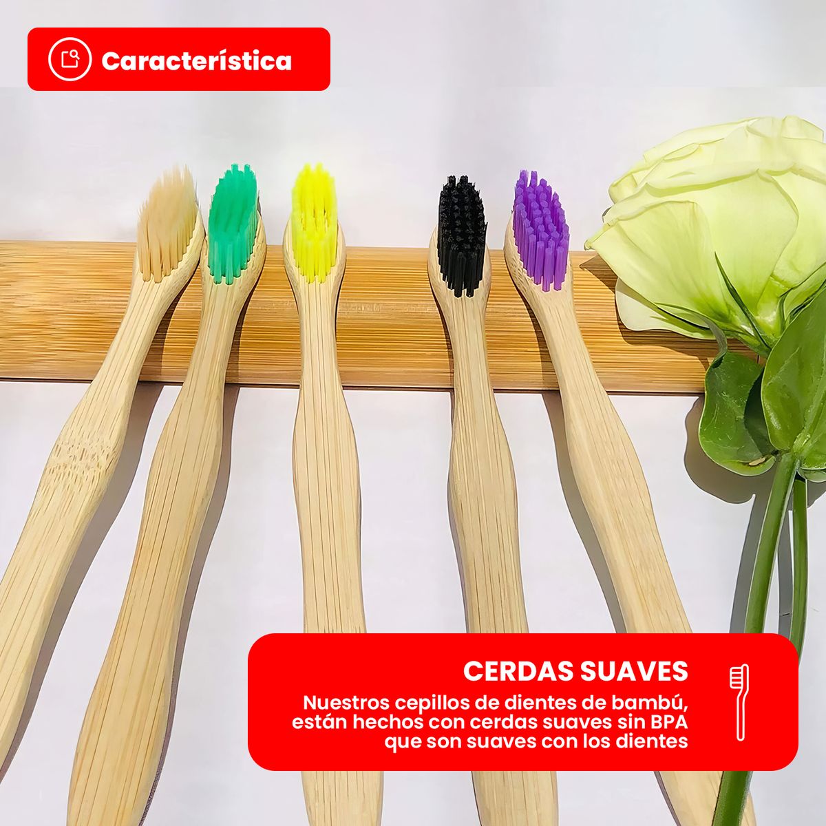 GENERICO - Pack 12 Cepillo De Dientes Bambú Shizen - Marron