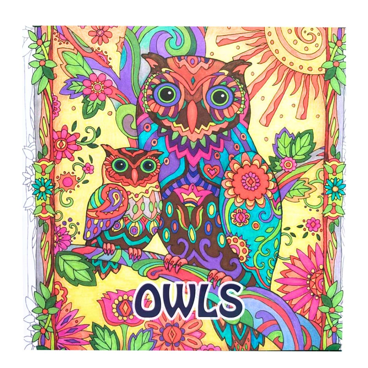 GENERICO - Mándalas Para Colorear 96 Dibujos Antiestrés Owls