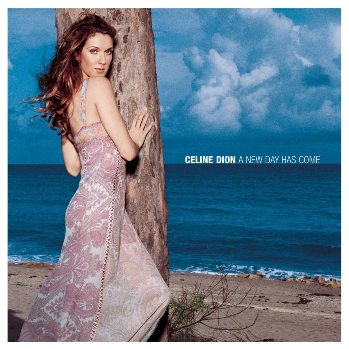 GENERICO - CELINE DION - A NEW DAY HAS COME (CD+DVD) / CD