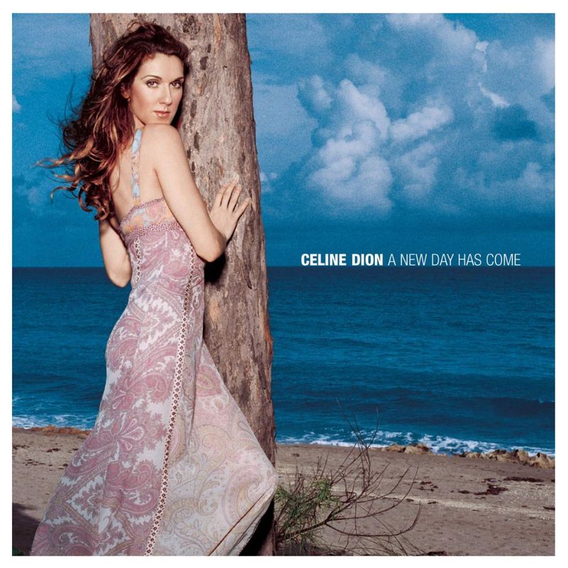 GENERICO - CELINE DION - A NEW DAY HAS COME CD+DVD  CD