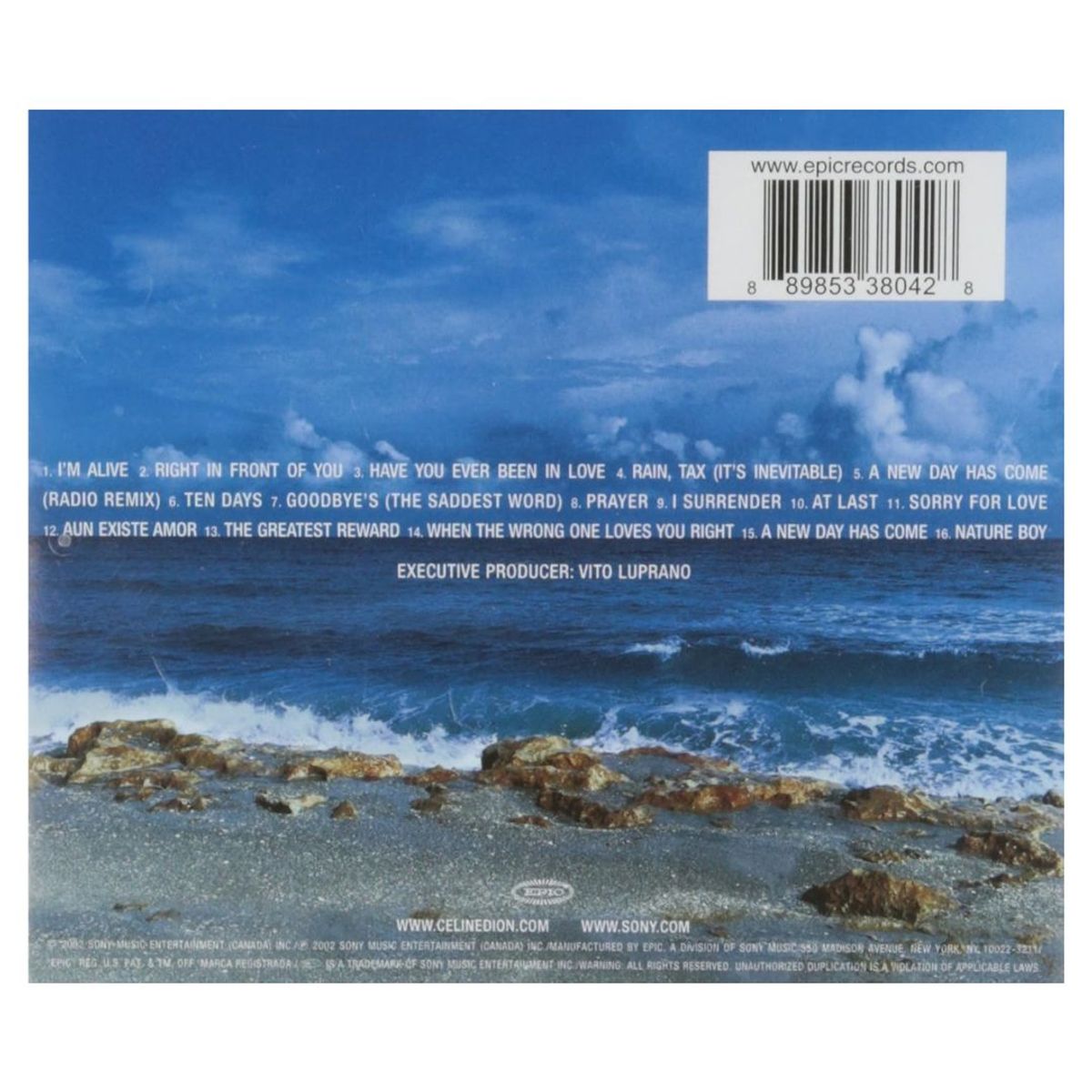 GENERICO - CELINE DION - A NEW DAY HAS COME (CD+DVD) / CD