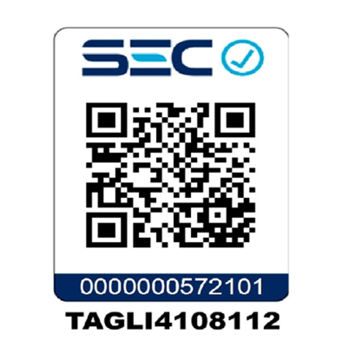 TOTAL TOOLS - Galletera Esmeril Angular 42v 2 Bat+ Carg Total Tagli4108112 Turquesa