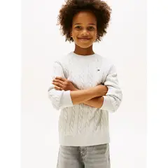 TOMMY HILFIGER - Sweater De Niño De Punto Trenzado Gris
