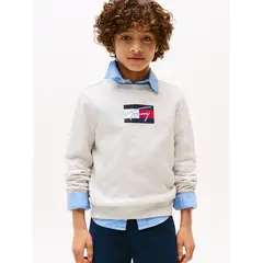 TOMMY HILFIGER - Polerón De Niño Con Logo Signature Gris