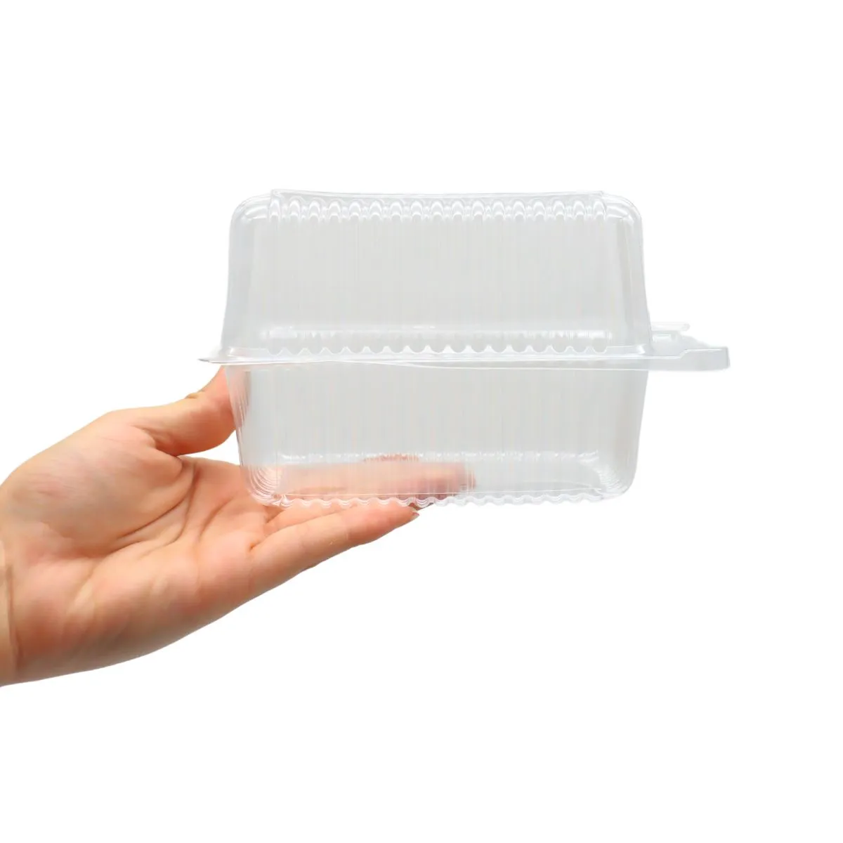 GENERICO - Envases Plasticos Porta Torta Desechable 10x65x12cm Rectangular