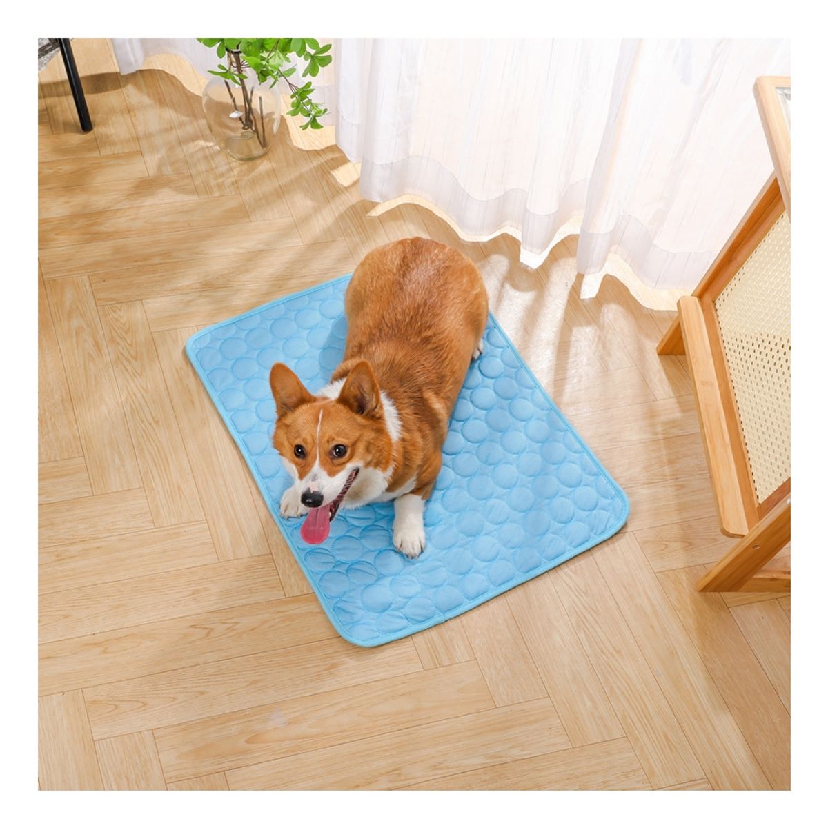 KINDA NICE - Manta Refrescante Perros Mascotas Cama Pet Coolmat 50 X 40cm