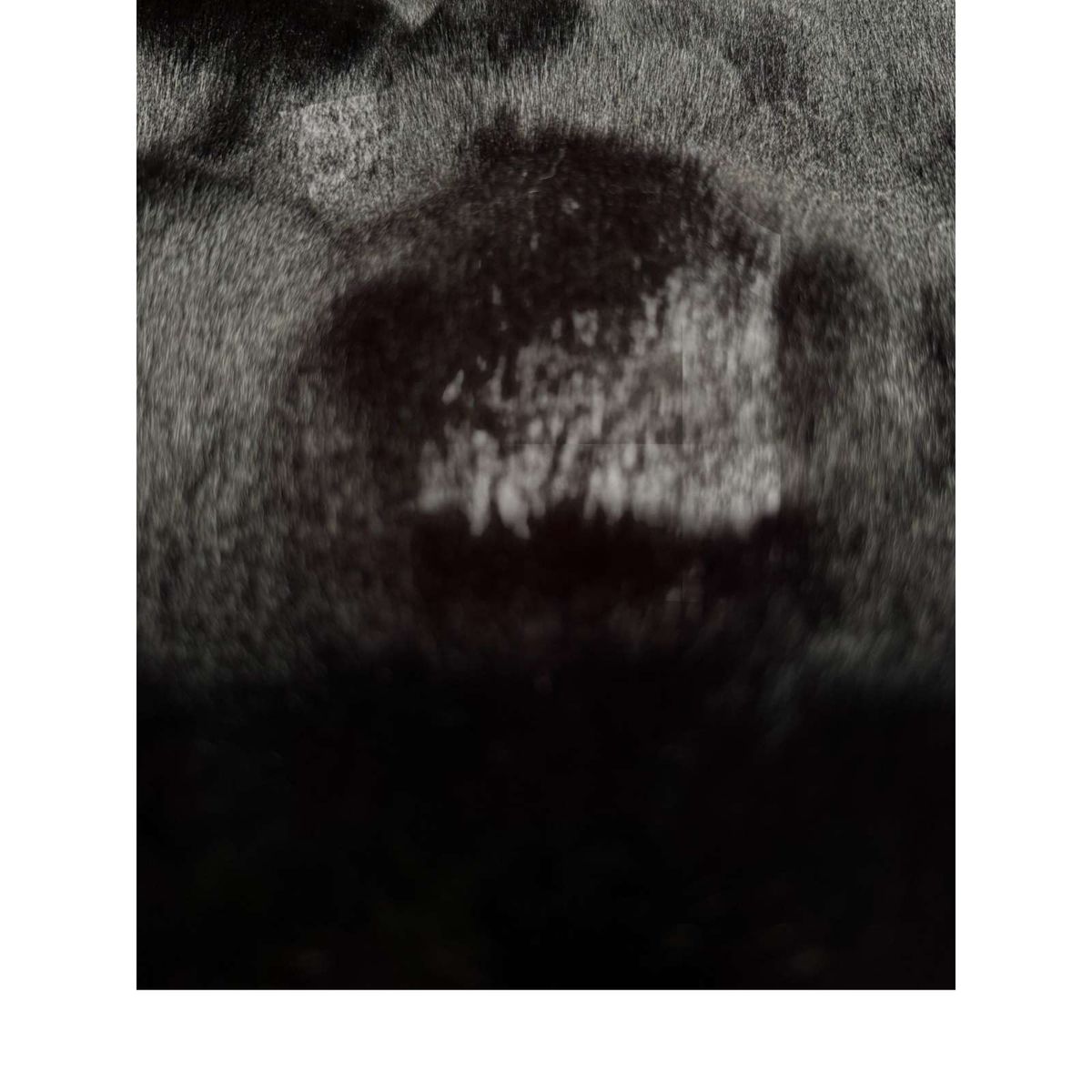 GENERICO - Alfombra piel de conejo Extra Suave