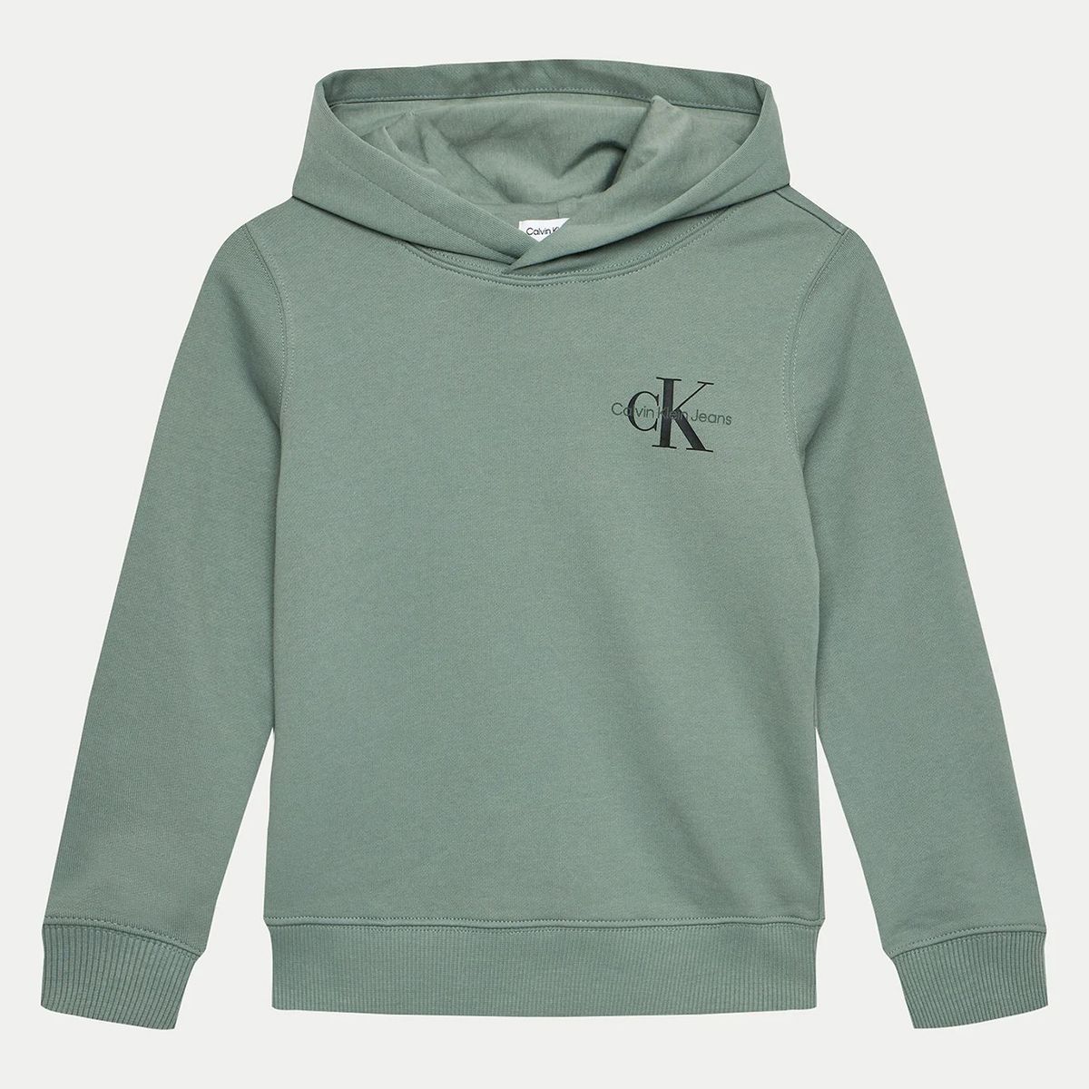 CALVIN KLEIN - Polerón Niño Small Monogram Verde Calvin Klein