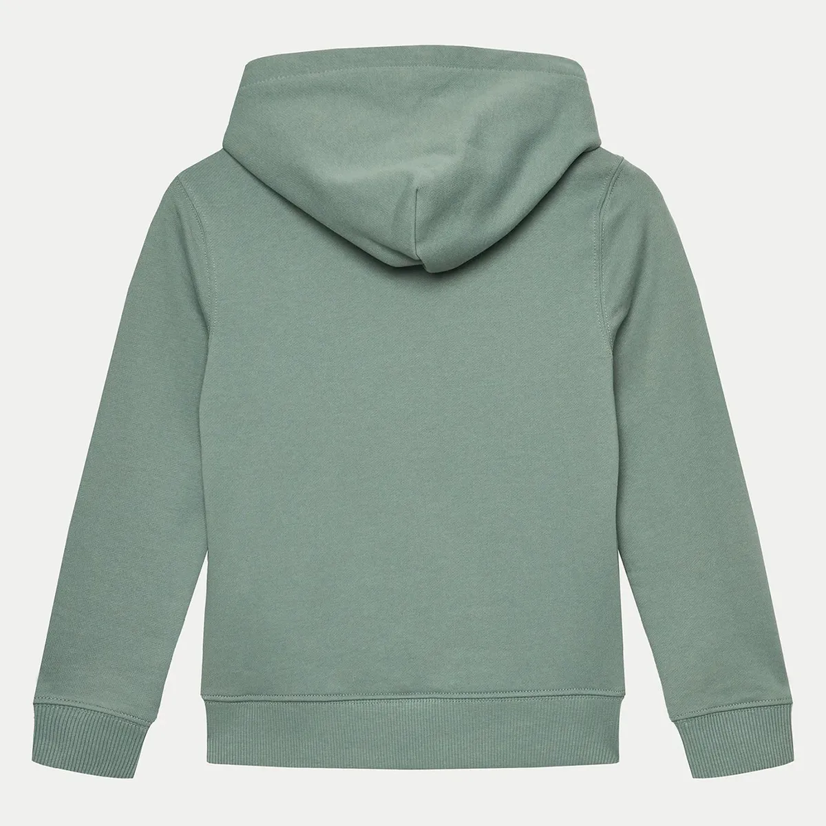 CALVIN KLEIN - Polerón Niño Small Monogram Verde Calvin Klein