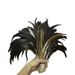 GENERICO - Pack 8 Plumas Largas Color Café Natural 25cm a 30cm