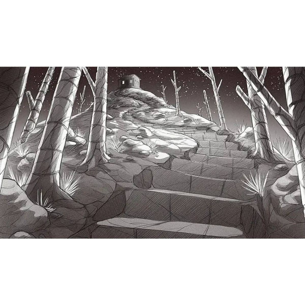 NINTENDO - Slay the Princess - The Pristine Cut Premium Physical Edition Switch - SniperCL