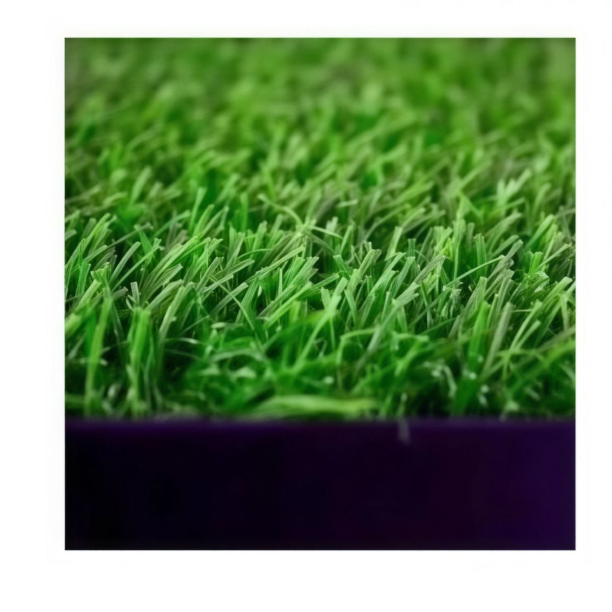 MOVI - Baño Sanitario XXL para Mascotas Pet Potty con Bandeja