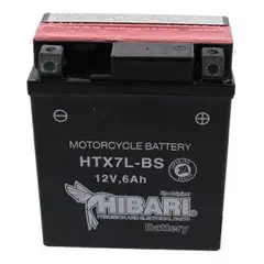 GENERICO - Bateria De Moto Para Motorrad Nt 25 - Xmm 250