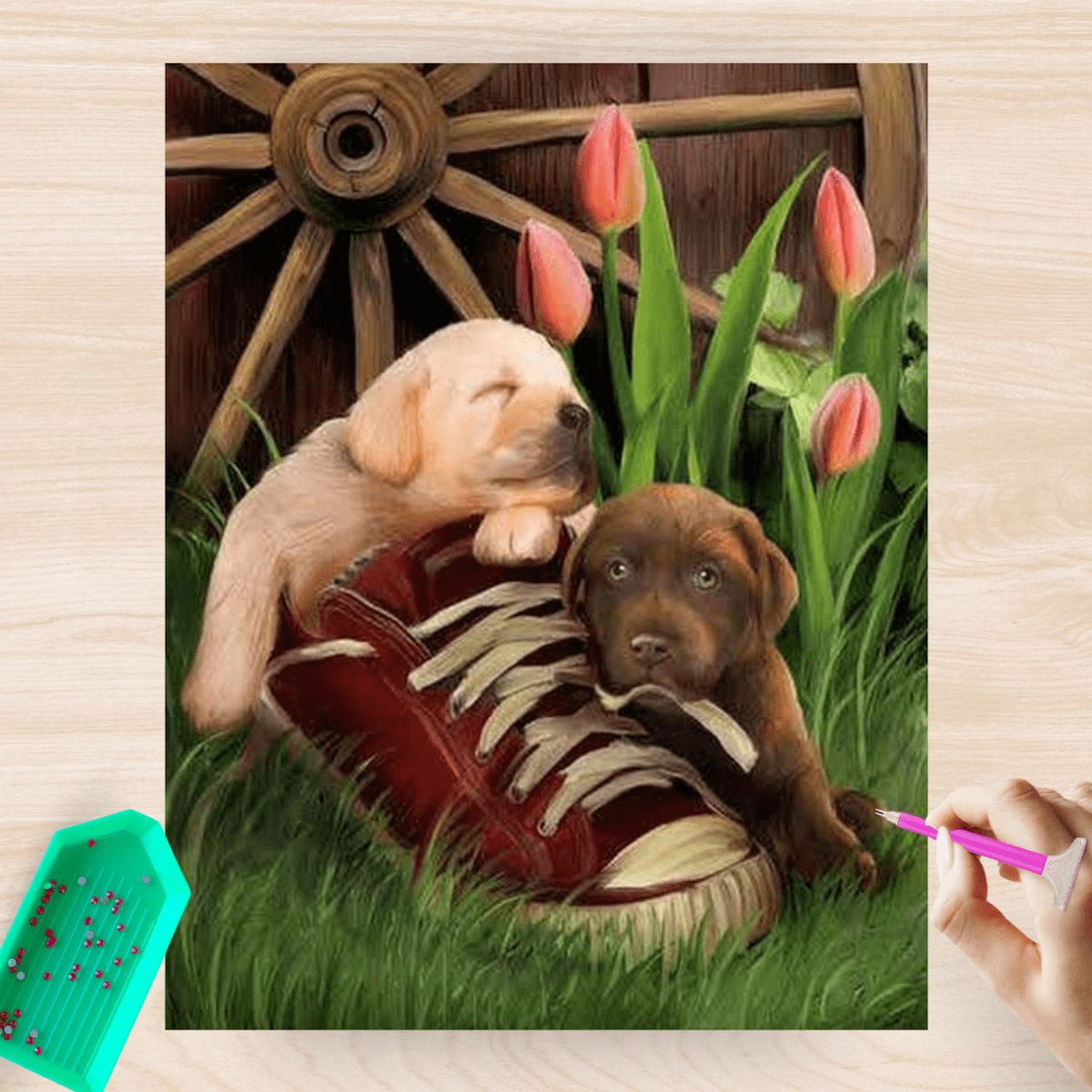 ARTE CONSENTIDO - PINTURA DIAMANTE SIN BASTIDOR DISEÑO PERRO ZAPATILLA