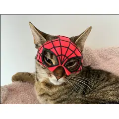 GENERICO - Máscara de Araña Gato