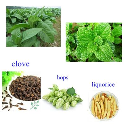 Imagen 2 del producto Parches Naturales para Dejar de Fumar (25 Unidades) ​