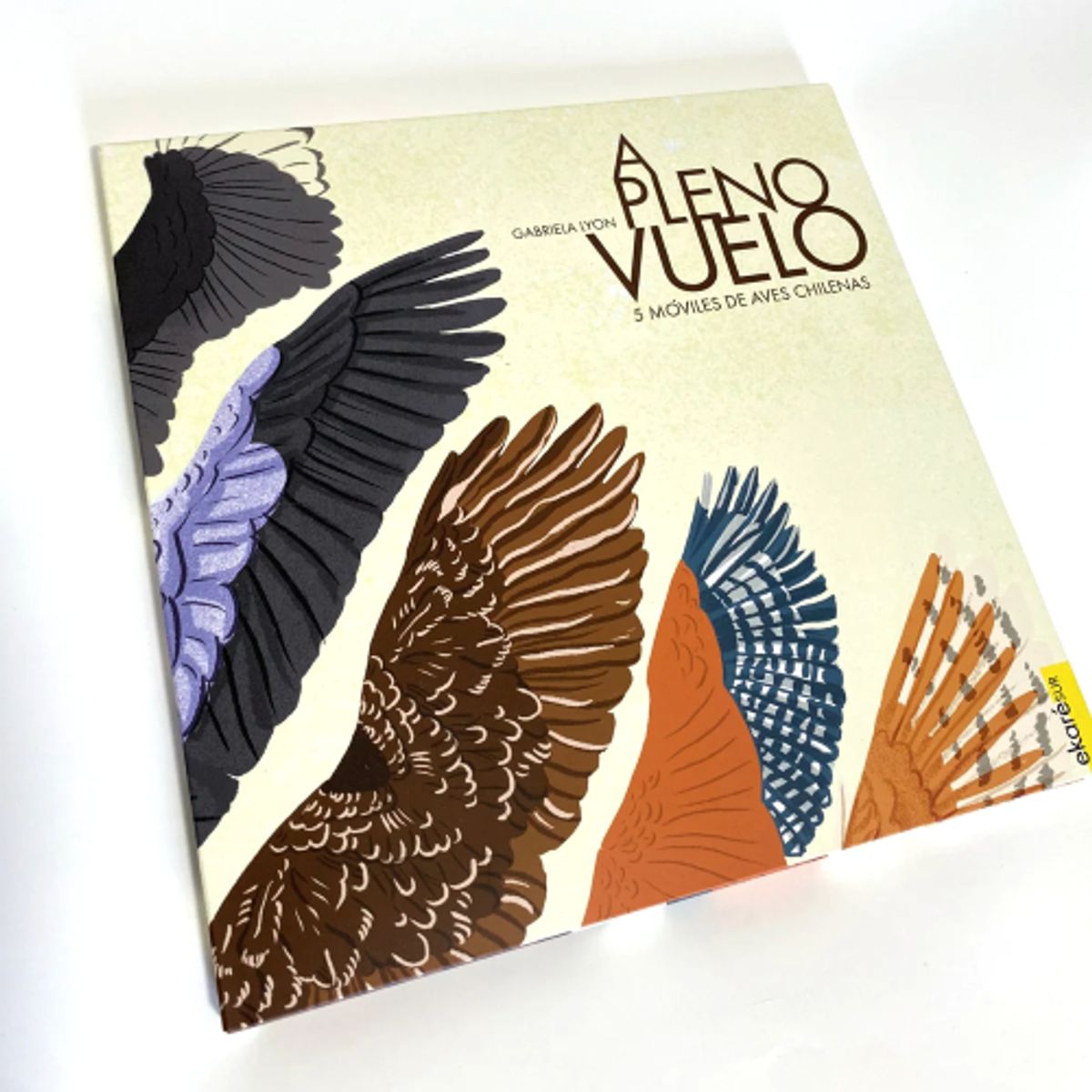 EKARE - A PLENO VUELO 5 MOVILES DE AVES CHILENAS