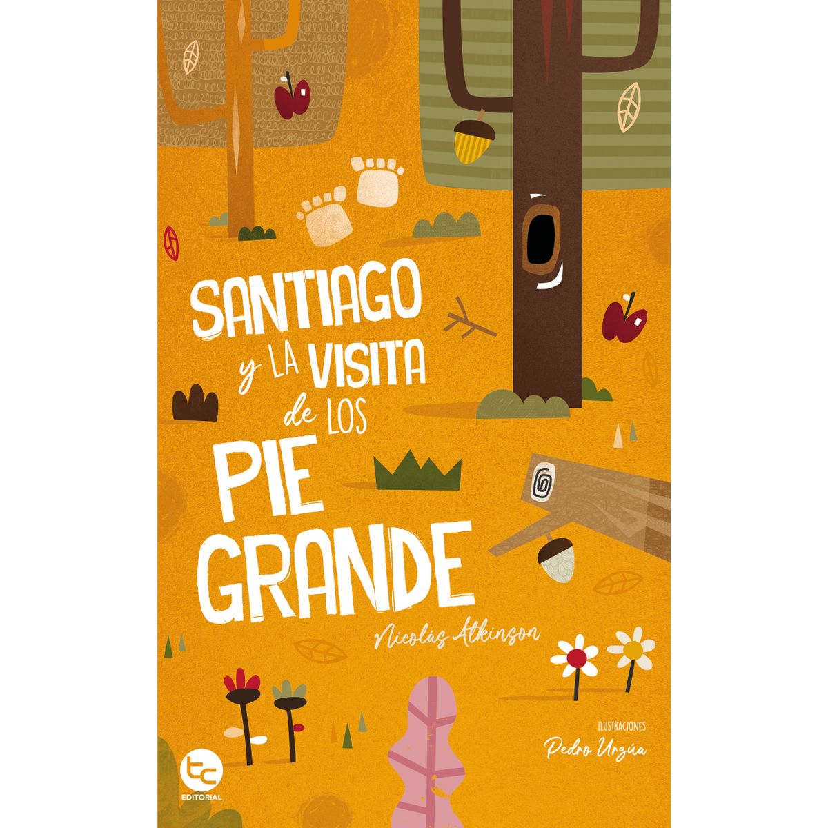 TRAYECTO COMUNICACIONES - SANTIAGO Y LA VISITA DE LOS PIE GRANDE