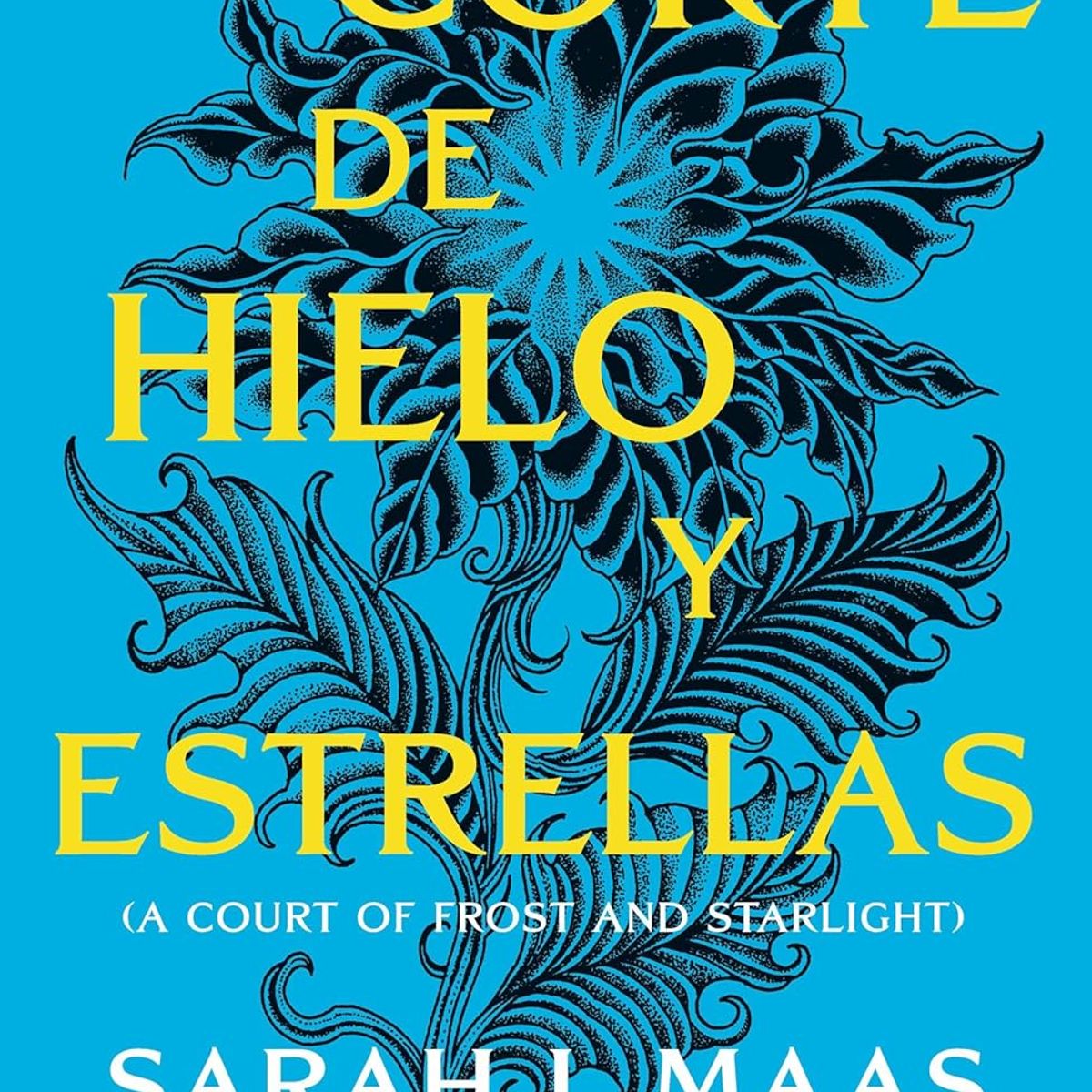 BOOKET - UNA CORTE DE HIELO Y ESTRELLAS ACOTAR 4