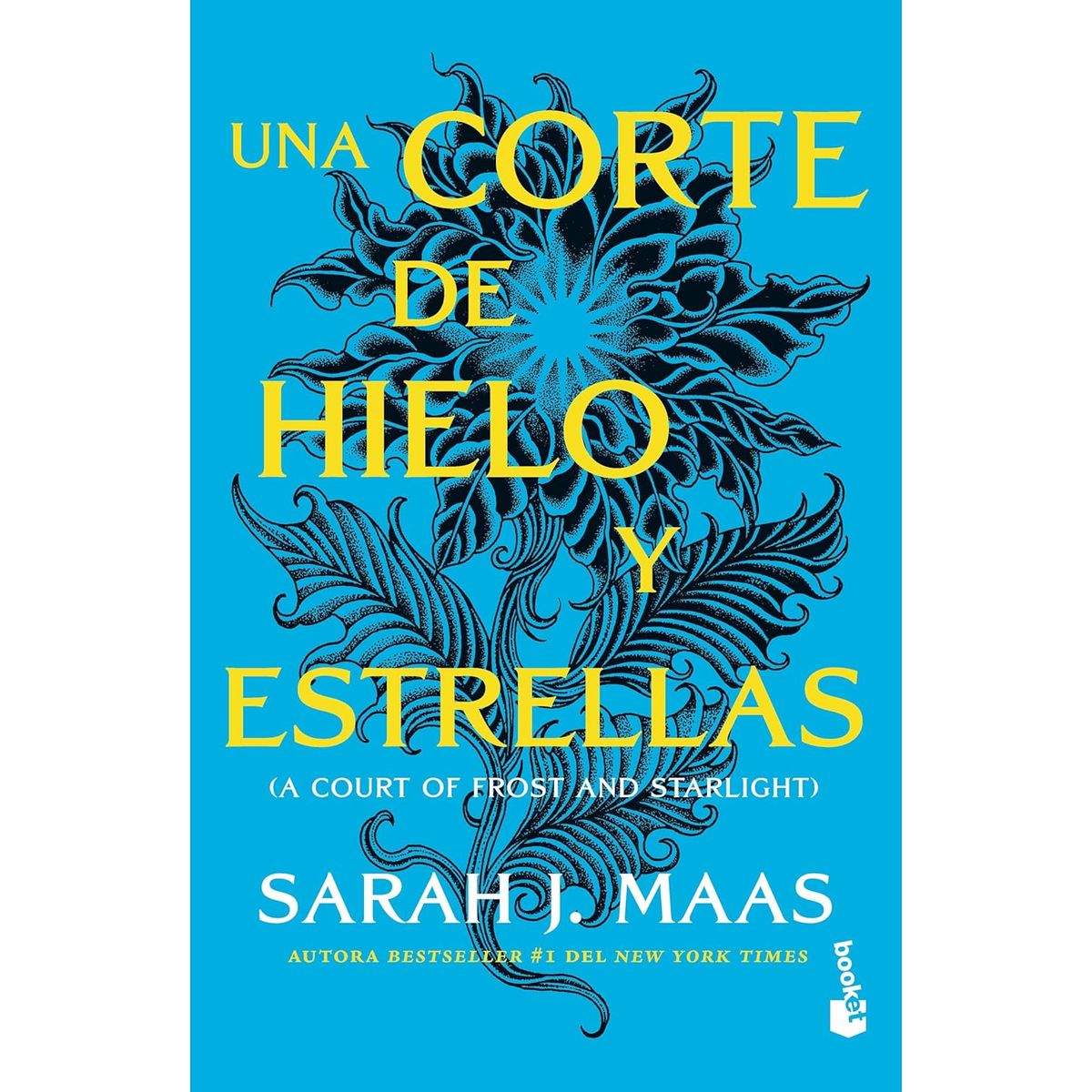 BOOKET - UNA CORTE DE HIELO Y ESTRELLAS ACOTAR 4