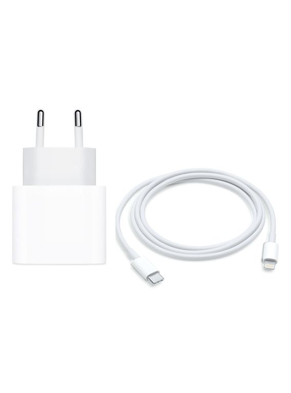 Cargador USB-C 20W Original Con Cable C Lightning 1mt
