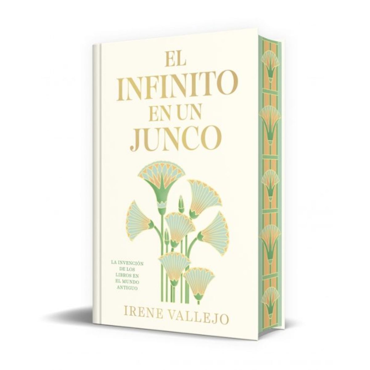 DEBOLSILLO - Infinito En Un Junco, El(Edicion Limi