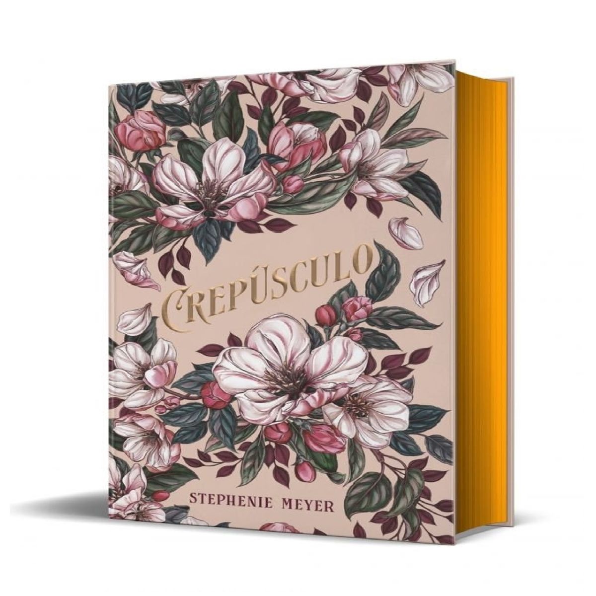 ALFAGUARA - CREPUSCULO EDICION LIMITADA BELLA Y EDWARD ESPECIAL 20 ANIV