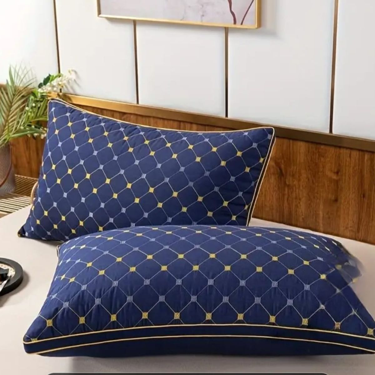 GENERICO - PACK DE 2 ALMOHADAS PREMIUM CON DETALLES BORDADOS