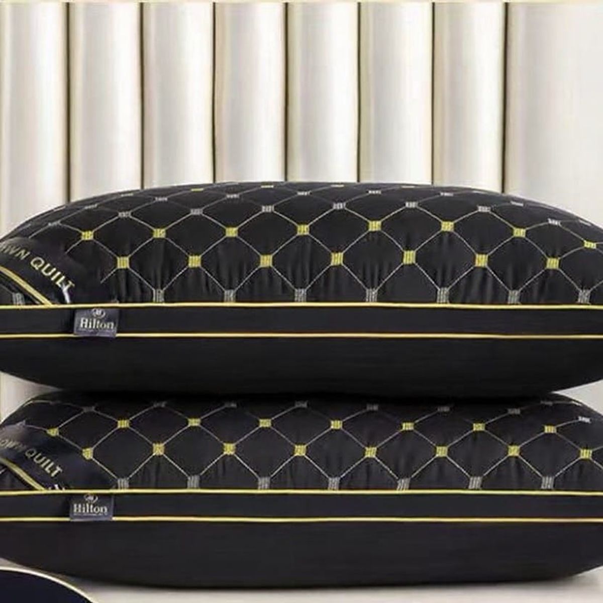 GENERICO - PACK DE 2 ALMOHADAS PREMIUM CON DETALLES BORDADOS