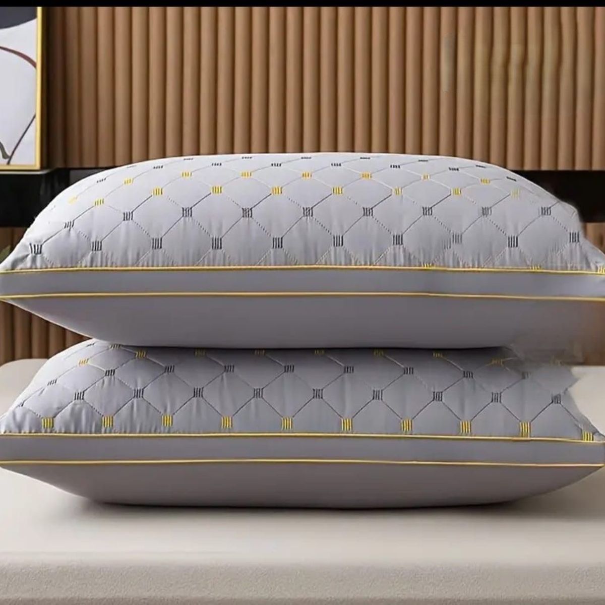 GENERICO - PACK DE 2 ALMOHADAS PREMIUM CON DETALLES BORDADOS