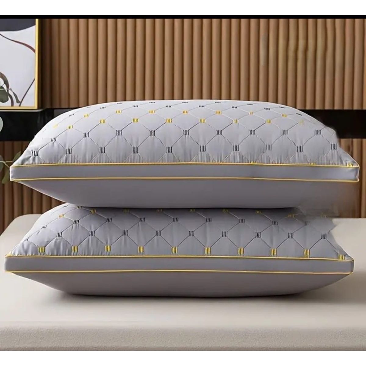 GENERICO - PACK DE 2 ALMOHADAS PREMIUM CON DETALLES BORDADOS