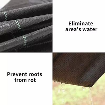 Imagen 2 del producto Cubresuelomalla Antimaleza 2m De Ancho X 10m De Largo