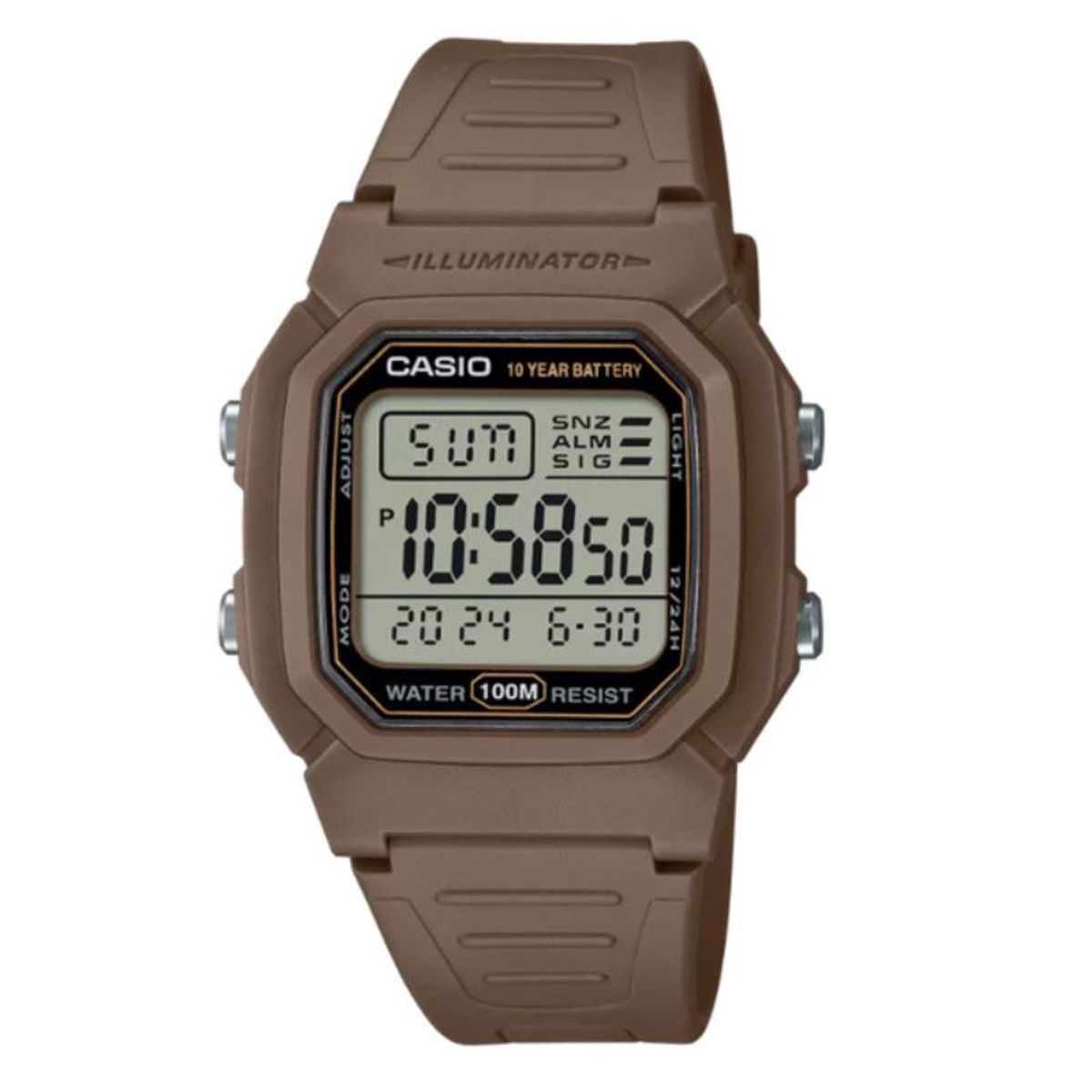 CASIO - Reloj Casio Hombre Vintage W-800H-5AV