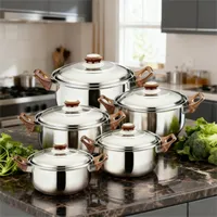 Juego de Ollas de Acero Inoxidable 5 Piezas